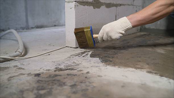 24/7 Emergency Waterproofing experts in Forestville, WI